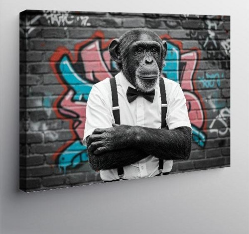 Kanvas Tablo Grafiti Önündeki Maymun