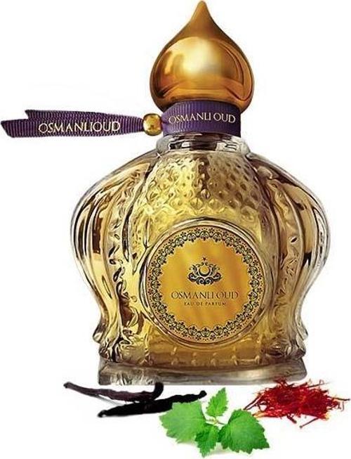 Warriors ERGUN 65 ML 4118 Erkek Parfümü 8681124641182