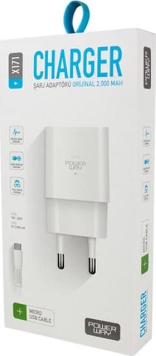 X171 5 Volt 2.1A Micro Usb Şarj Aleti-Micro Usb Kablo