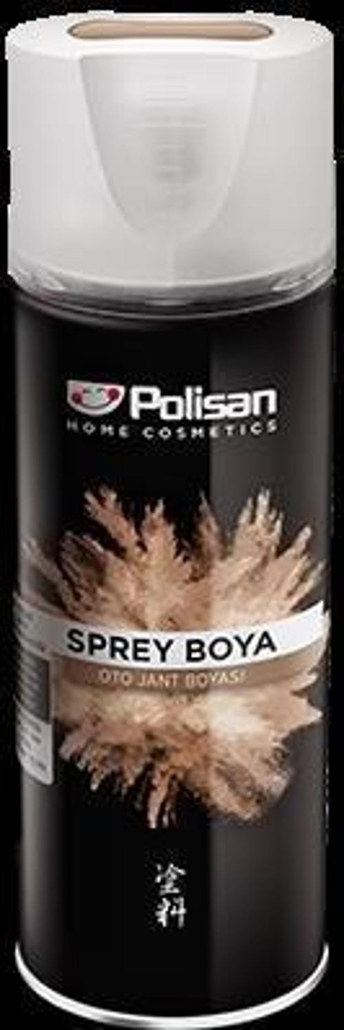 Akrilik Sprey Boya 400 ml Oto Jant Alüminyum