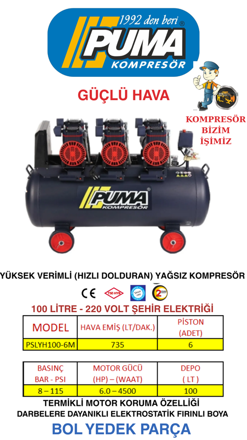 100 Lt Yüksek Verimli Kompresör (Yağsız 6 Hp)
