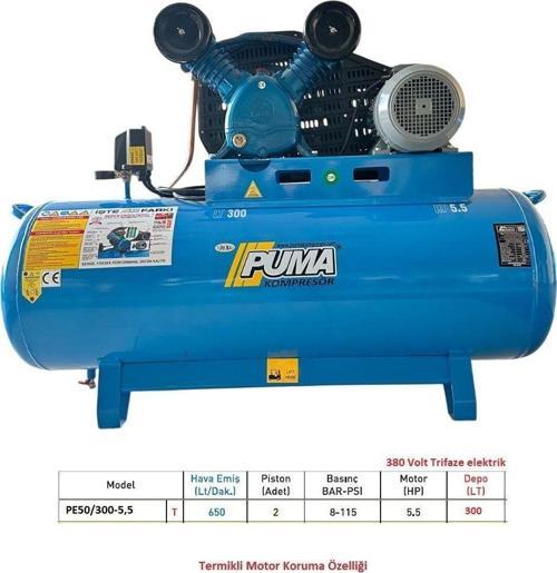 300 Lt Hava Kompresörü 5,5 Hp 2 Piston Yağlı