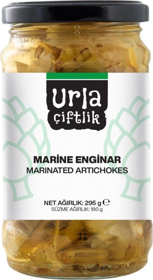 Marine Enginar