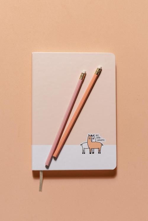 16*22 96 Yp.Sert Kapak Ciltli Defter-Biz Ayrılamayız
