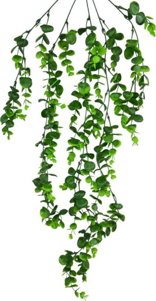 Yapay Çiçek 5dal Sarkan Okaliptus Şimşir Yapay Sarmaşık 70cm