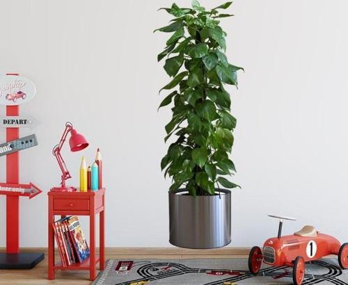 Saksılı Bitki Tasarımlı Yapışkanlı Sticker Resim 90*30 cm MC-665