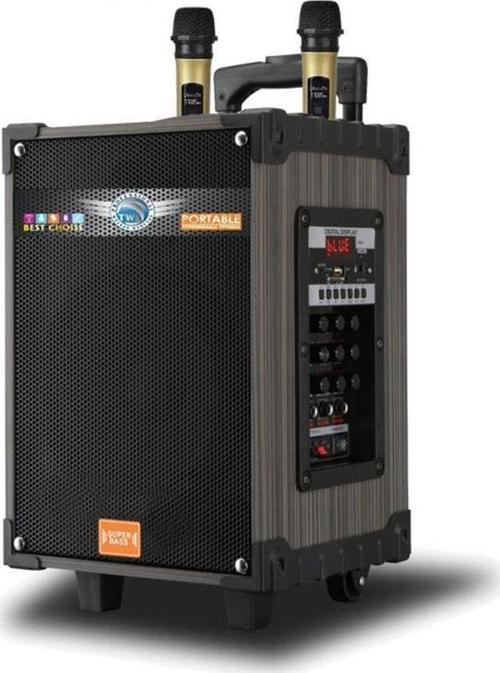 PL-4613 10" 2 Mikrofonlu Kumandalı Kablosuz Hoparlör (LT-910)