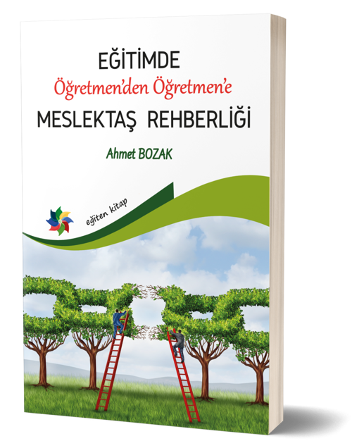 Eğitimde Öğretmenden Öğretmene Meslektaş Rehberliği