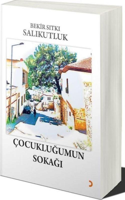 Çocukluğumun Sokağı
