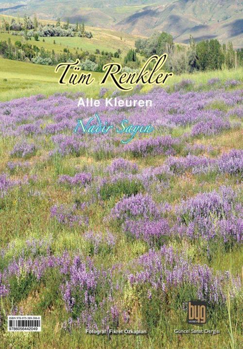 Baygenç Yayıncılık Tüm Renkler