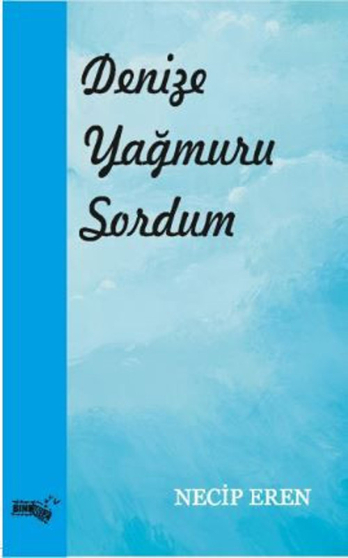 Denize Yağmuru Sordum
