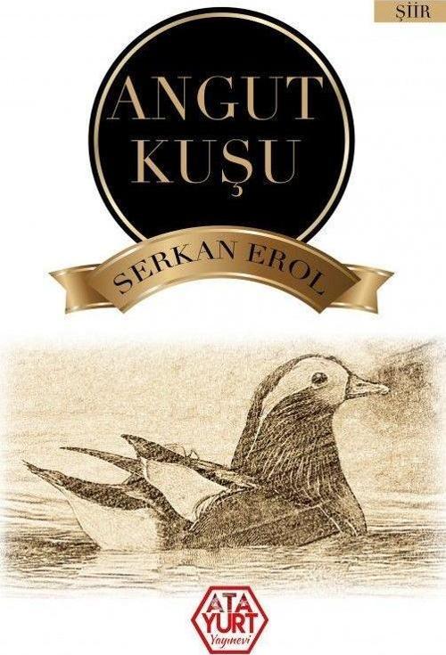 Angut Kuşu