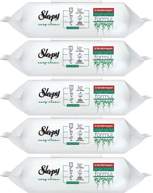 Easy Clean Yüzey Temizlik Havlusu 100 Yaprak Plastik Kapaklı (5 Li Set)