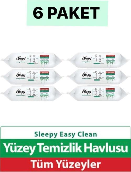 Easy Clean Yüzey Temizlik Havlusu 100 Yaprak Plastik Kapaklı (6 Lı Set) 600 Yaprak