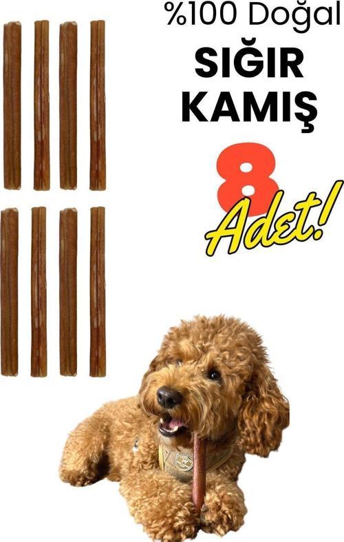 Köpek Ödül Kemiği 8 Adet Doğal Dana Kamış Köpek Çiğneme Çubuğu 15 Cm Köpek Ödül Maması