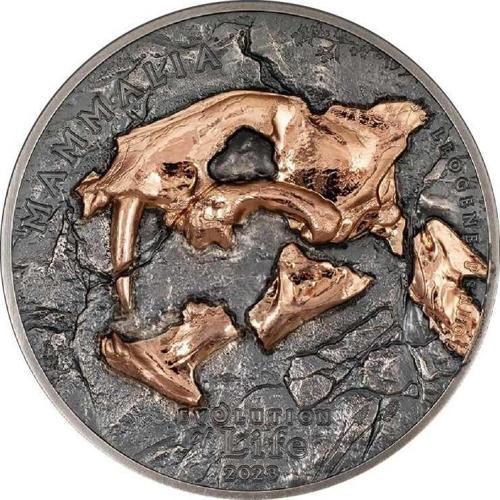 Nimravidae Evrimi 2023 1 Ons Gümüş Sikke Coin