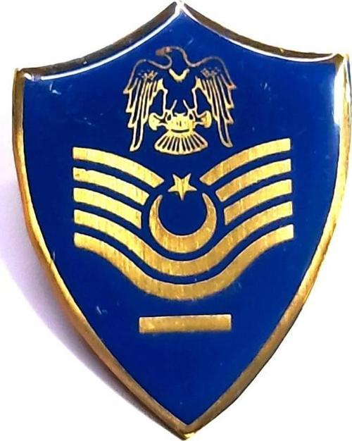 Minyatür Rütbe Astsubay Başçavuş Hava Kuvvetleri Sağlık Sınıfı