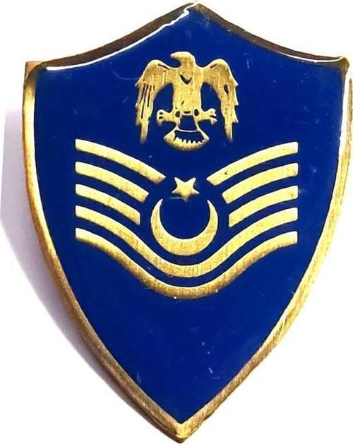 Minyatür Rütbe Astsubay Kıdemli Üstçavuş Hava Kuvvetleri Sağlık Sınıfı