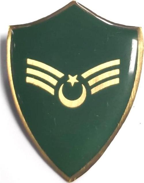 Minyatür Rütbe Astsubay Sağlık Sınıfı Astsubay Kıdemli Çavuş