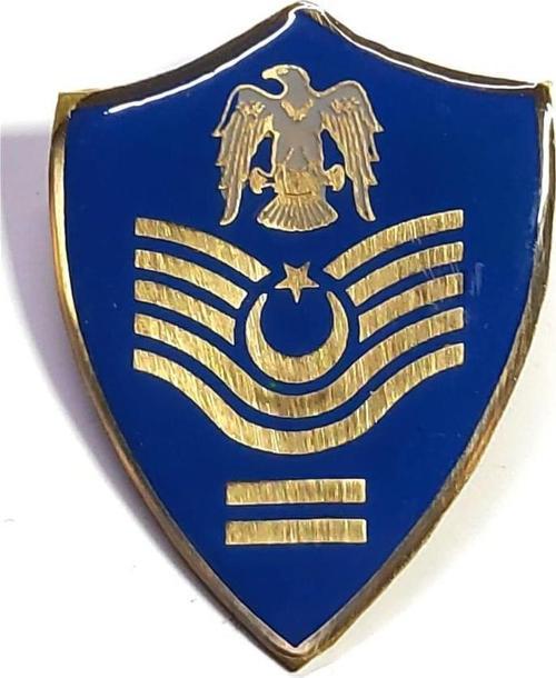 Minyatür Rütbe Kıdemli Başçavuş Hava Kuvvetleri Sağlık Sınıfı