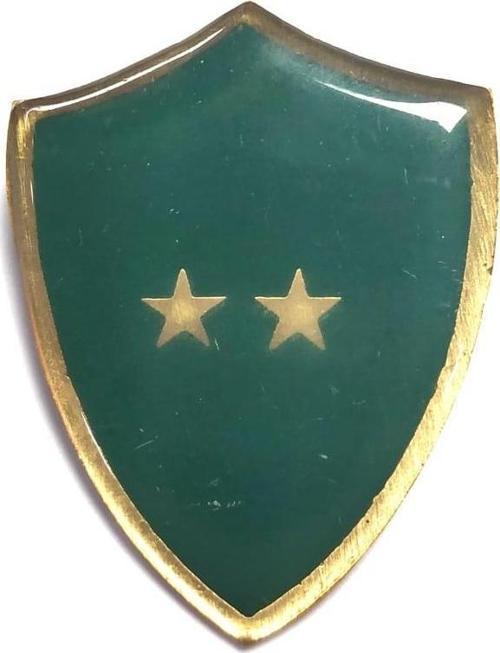 Minyatür Rütbe Üsteğmen Sağlık Sınıfı