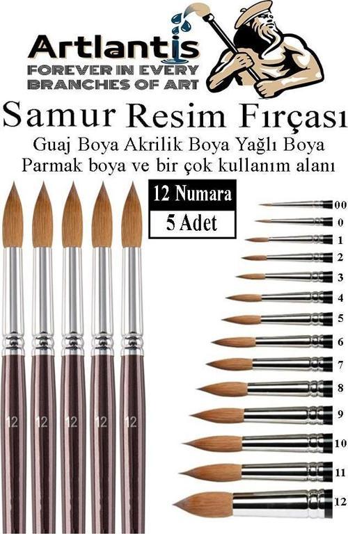 Resim Fırçası 12 Numara 5 li 1 Paket Samur Yuvarlak Uçlu Fırça Seti Guaj Sulu Akrilik Yağlı Boya Fırçaları