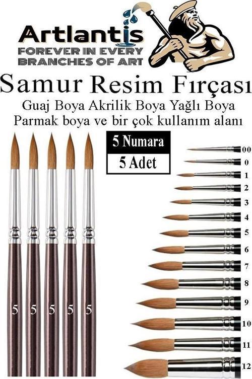 Resim Fırçası 5 Numara 5 li 1 Paket Samur Yuvarlak Uçlu Fırça Seti Guaj Sulu Akrilik Yağlı Boya Fırçaları