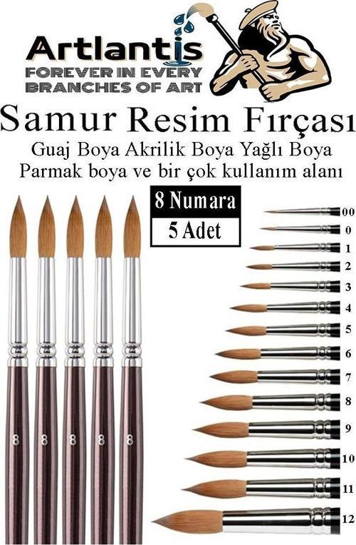 Resim Fırçası 8 Numara 5 li 1 Paket Samur Yuvarlak Uçlu Fırça Seti Guaj Sulu Akrilik Yağlı Boya Fırçaları