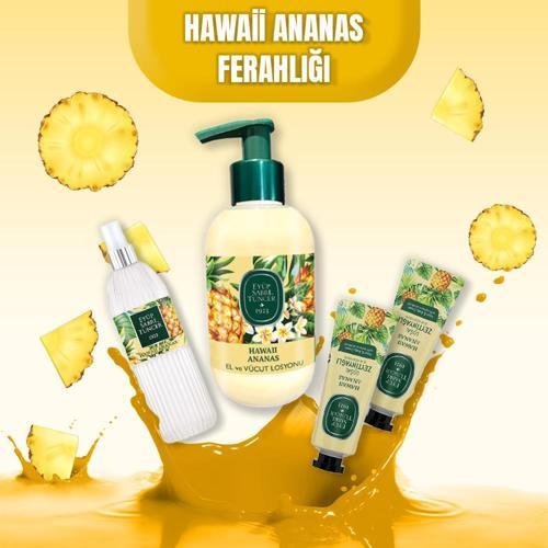 Hawaii Ananas Bahar Paketi