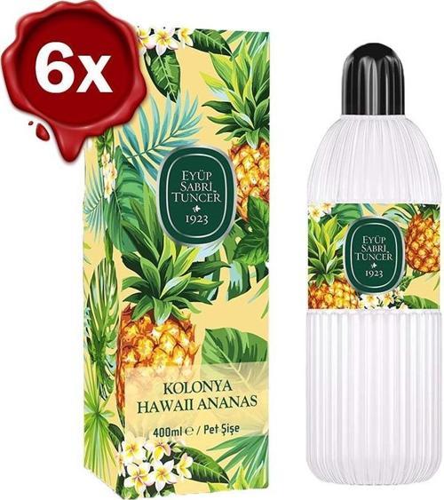 Hawaii Ananas x 6