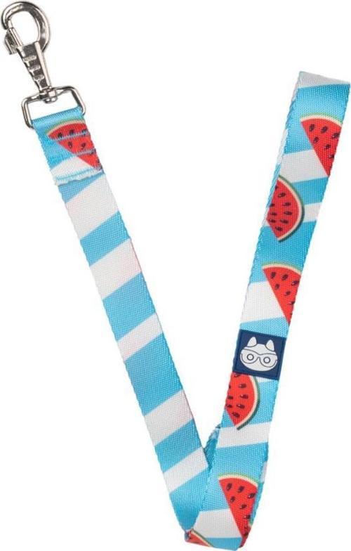 Nazz Köpek Gezdirme Tasması Karpuz Mavi Small 1,5X120 Cm