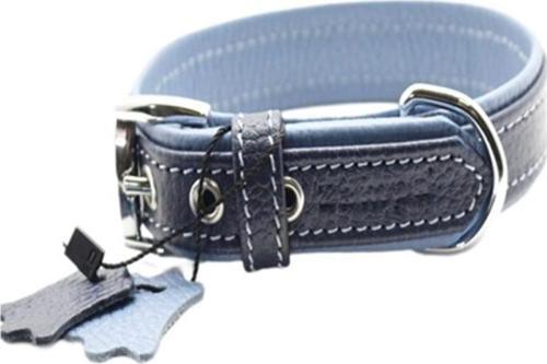 Yumuşak Dokulu Gerçek Deri Flatiron Köpek Boyun Tasması Lacivert Turkuaz 4x72 Cm