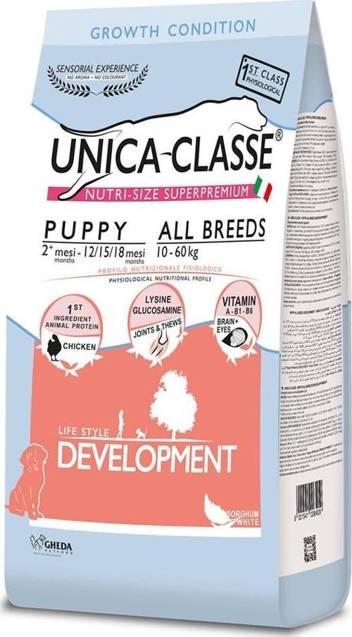 Yavru Mini Irk Development Tavuklu Köpek Maması 2 Kg