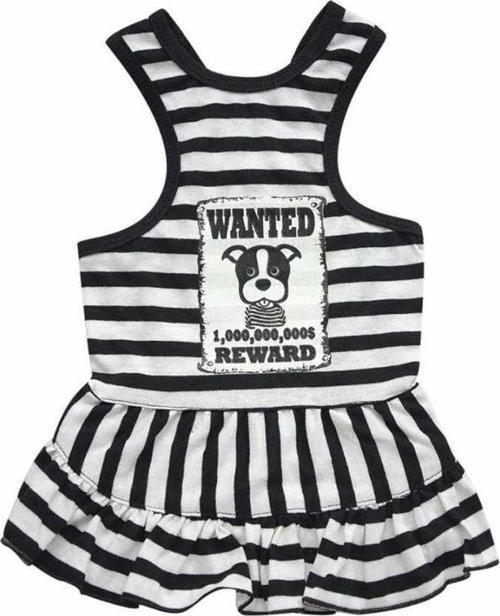 Wanted Askılı Çizgili Köpek Elbisesi Large