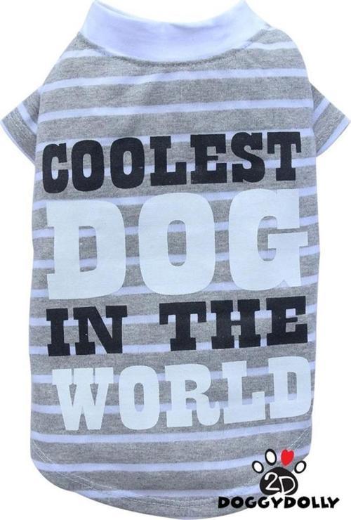 Coolest Dog Büyük Köpek Tişörtü Gri XXL