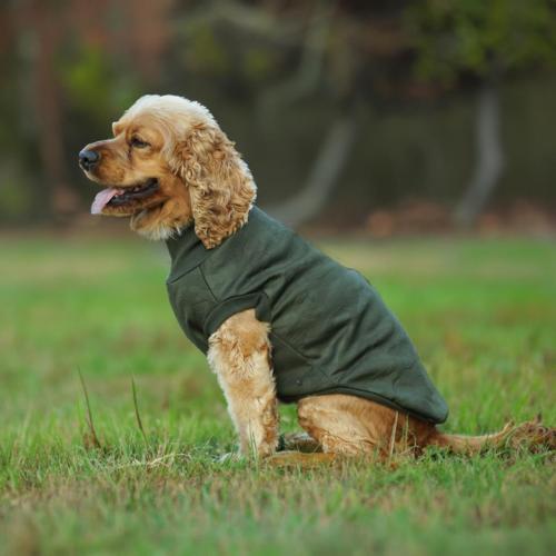 Soft Shell Köpek Kamuflaj Haki XLarge