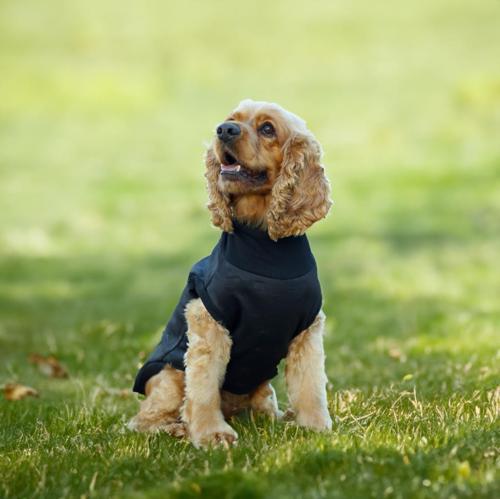 Soft Shell Köpek Kamuflaj Siyah XLarge