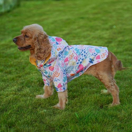 Tasarım Beyaz Köpek Yağmurluğu Small