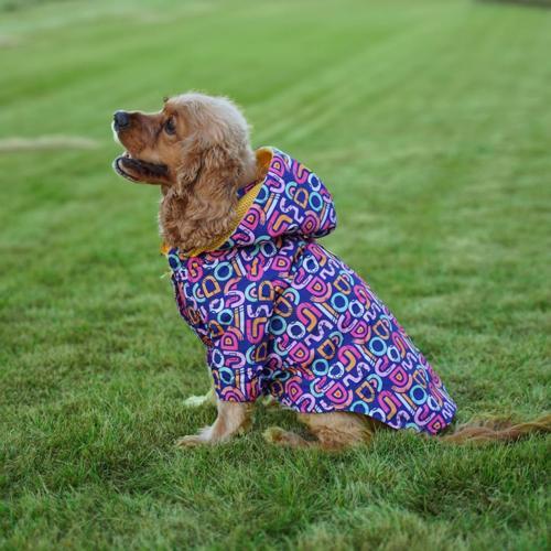Tasarım Mor Köpek Yağmurluğu 4XLarge