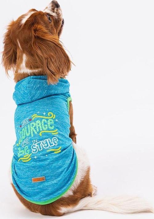 Blue Style Hooded Köpek T-Shirt Large