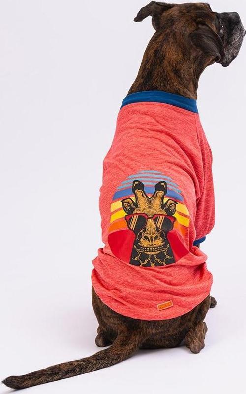 Narçiçeği Giraffe Köpek Büyük Sweat 7XLarge