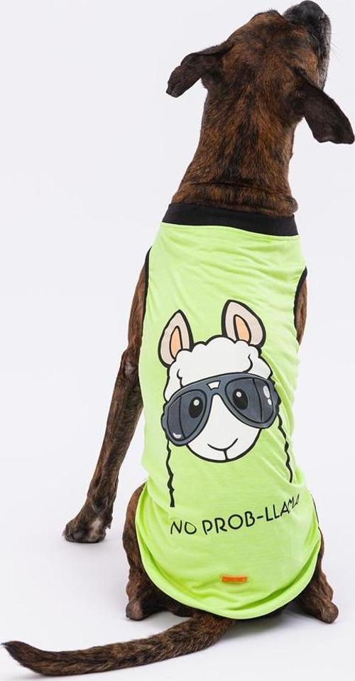 No Prob Lama Büyük T-shirt Yeşil 6XLarge