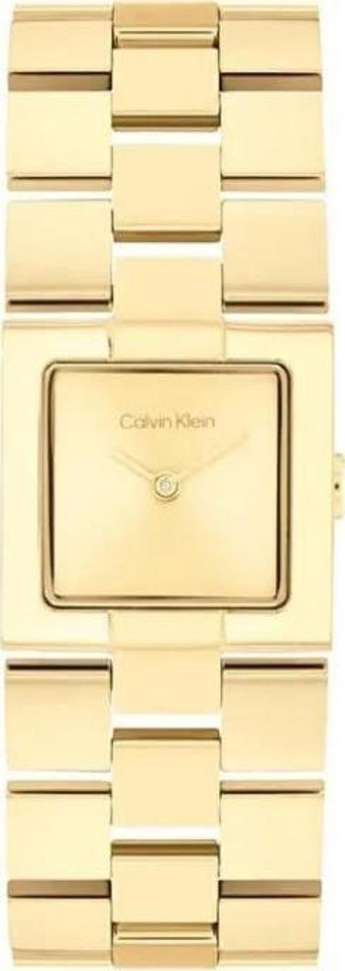 CK25100089 Kadın Kol Saati