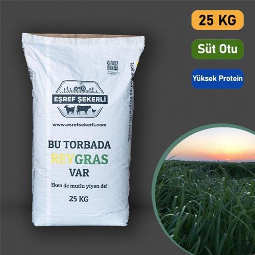 Rye Grass, Reygras, Italyan Çimi (Süt Otu) Tohumu 25 Kg