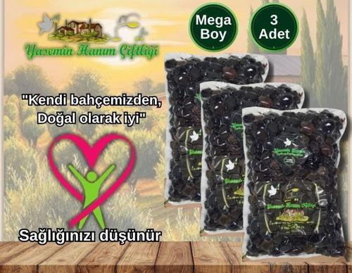 3×1000 GR Mega boy iri siyah zeytin