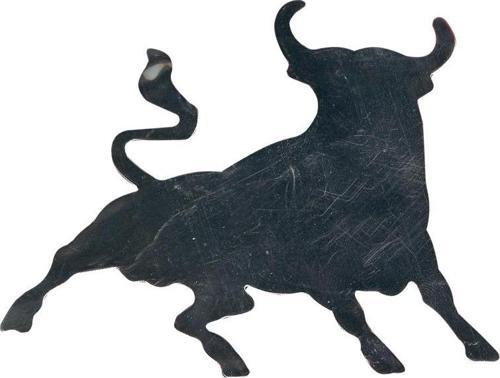 Space Krom Boğa Logo / YACI40