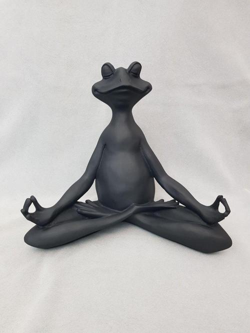 Yogacı Kurbağa Siyah Yoga Yapan Kurbağa
