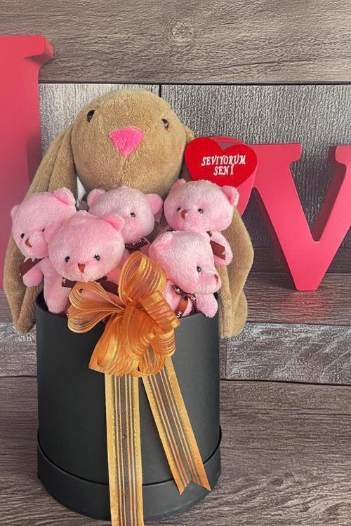 Premium Özel Hediye Kutusunda  45 cm Bunny Tavşan ve 5 Adet Pembe Peluş Ayıcık Buketi