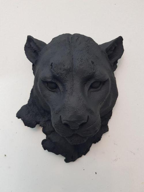 Siyah Jaguar Puma Panter Leopar Duvar Dekoru