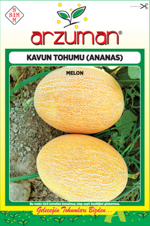 ANANAS KAVUN TOHUMU 10 GR ORT 200 AD TOHUM